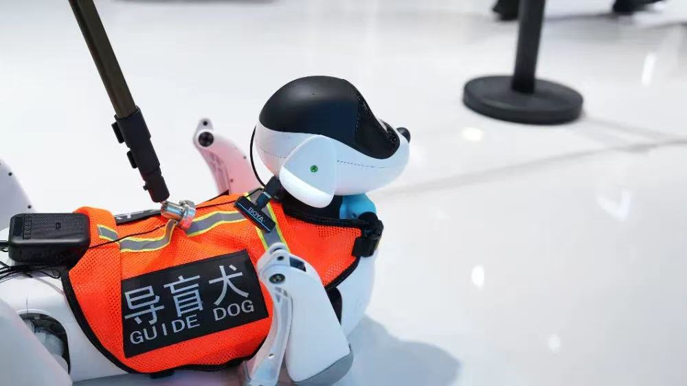 机器导盲犬产品展示